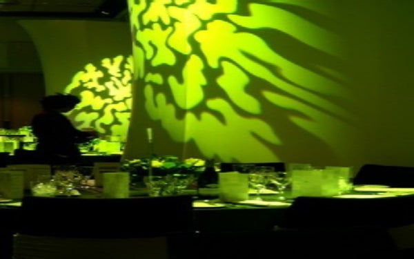 Lycra Exhibition Walls